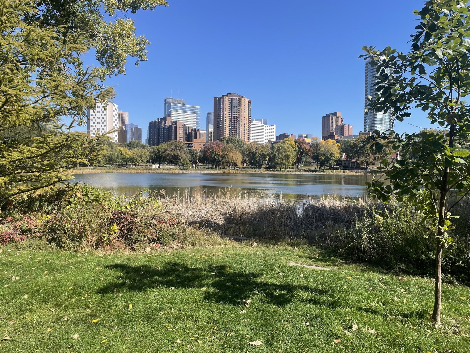 Loring Lake framed by trees with the downtown Minneapolis skyline behind it on a clear fall day