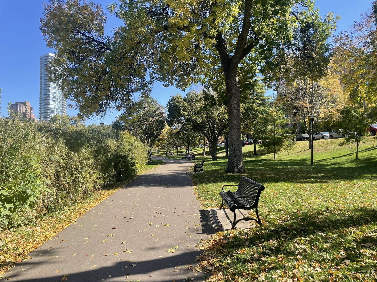Paved path and bench along Loring Lake with the curved glass LPM tower in the distance