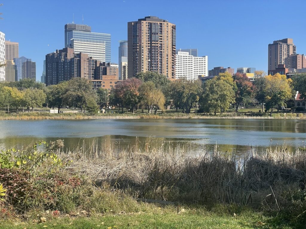Cattails along Loring Lake with condo towers and downtown office buildings behind the trees
