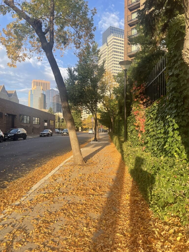 Sidewalk covered in yellow leaves next to an ivy-covered wall with downtown towers ahead