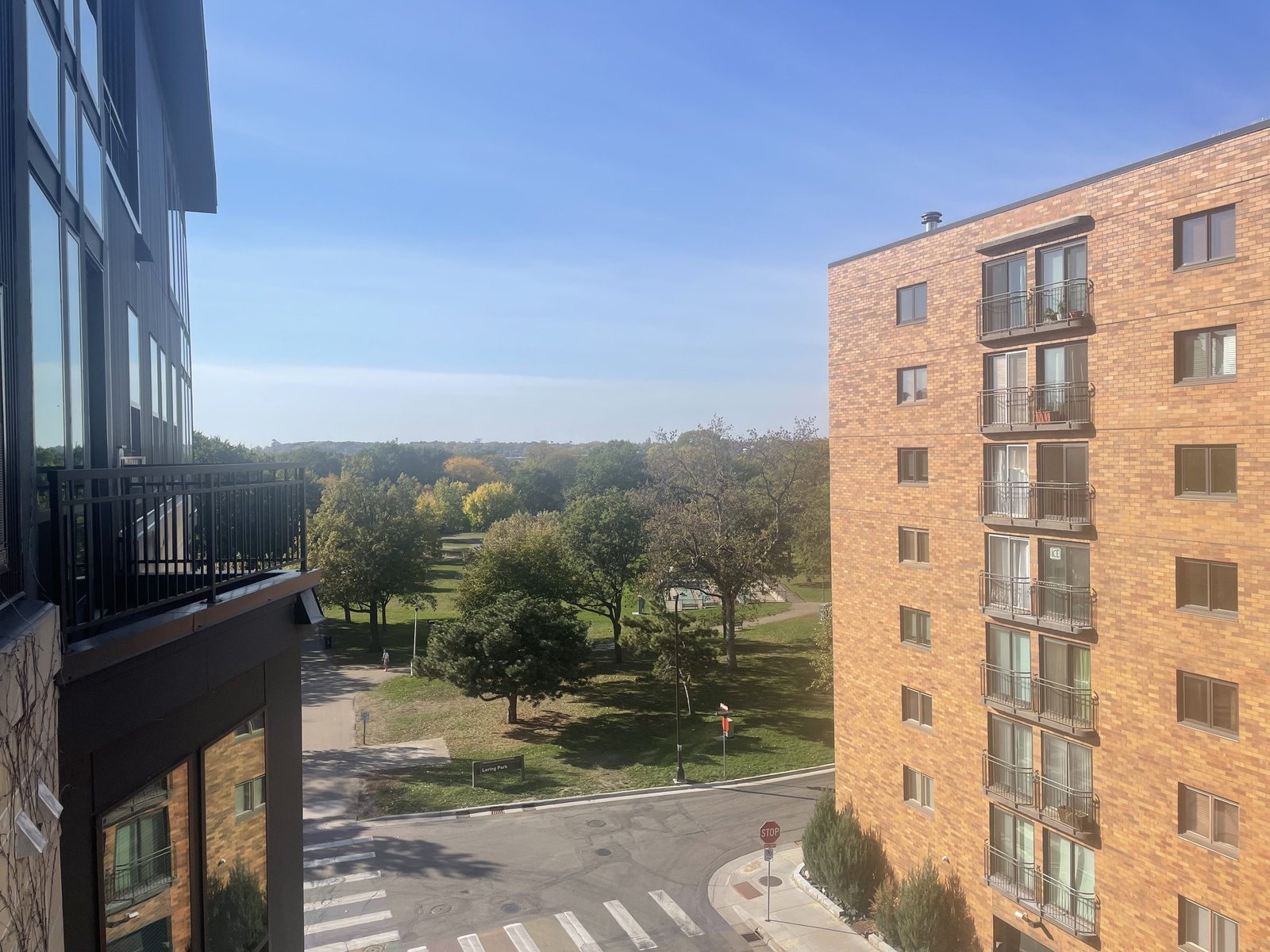 View from a residential balcony looking across the street into Loring Park and its trees